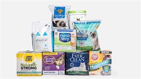 The 5 Best Cat Litters in 2023 .